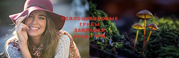 хмурый Рославль