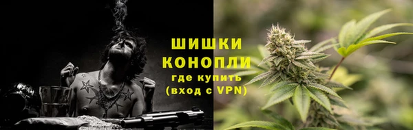 сатива Балабаново