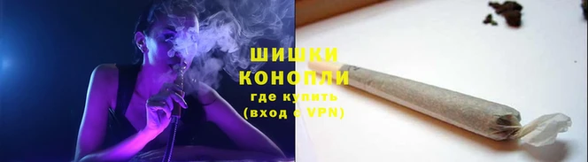сатива Балабаново