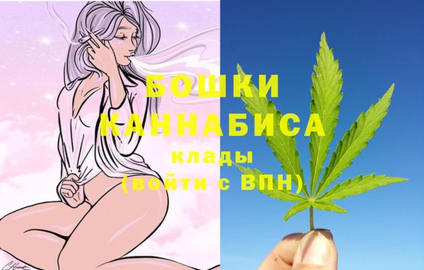 сатива Балабаново